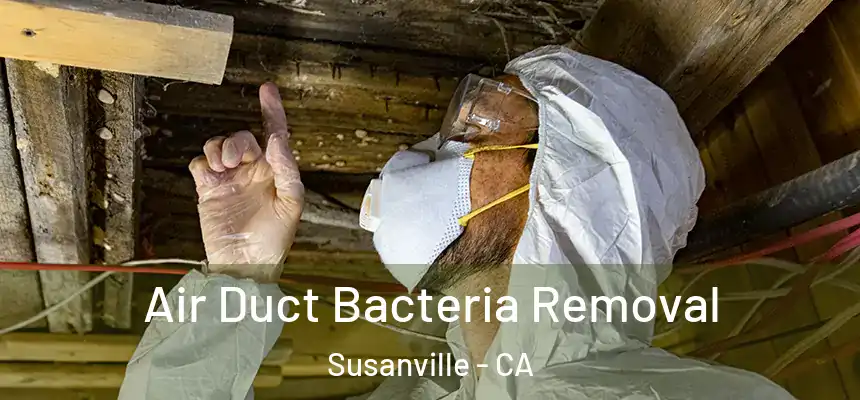  Air Duct Bacteria Removal Susanville - CA