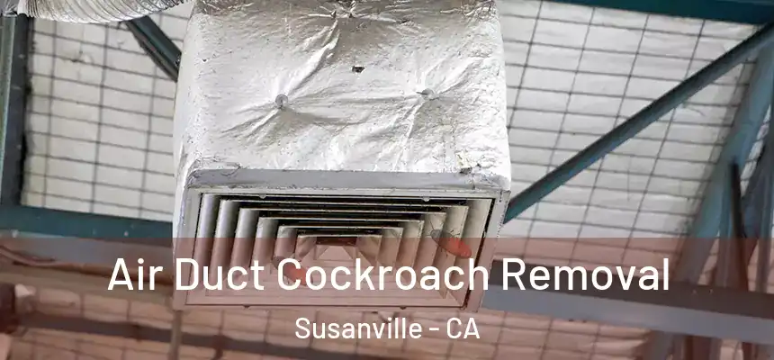  Air Duct Cockroach Removal Susanville - CA