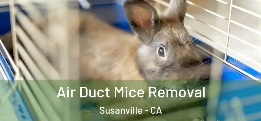  Air Duct Mice Removal Susanville - CA