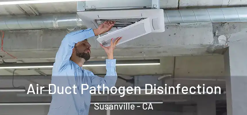  Air Duct Pathogen Disinfection Susanville - CA