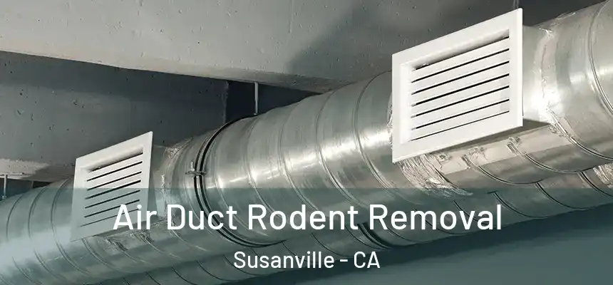  Air Duct Rodent Removal Susanville - CA