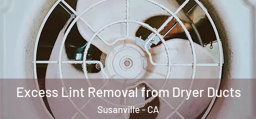  Excess Lint Removal from Dryer Ducts Susanville - CA