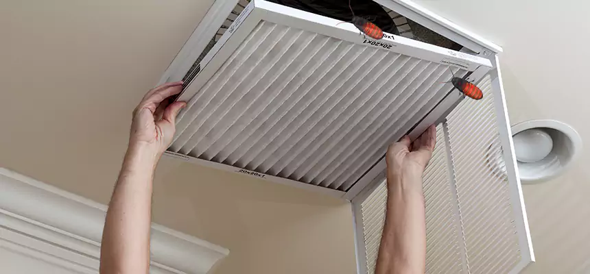 Preventive Cockroach-Proofing for Ducts in Susanville