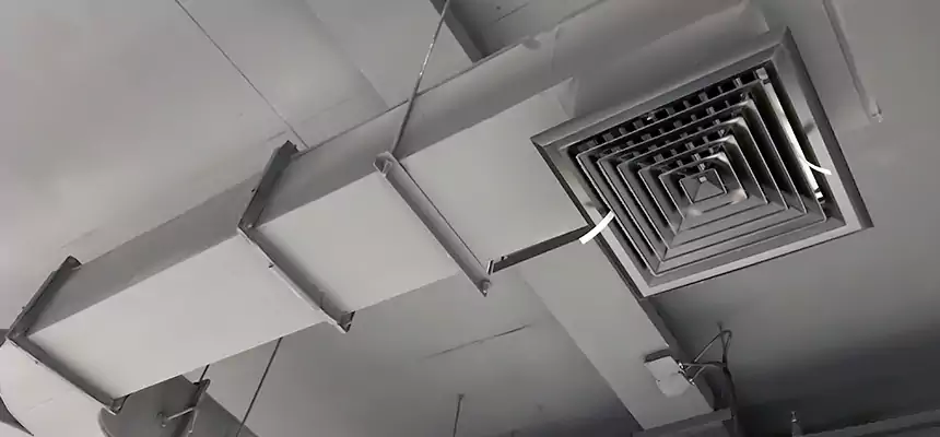 Restorative Allergy Relief Vent Cleaning – Coil, Blower & Housing Detail in Susanville