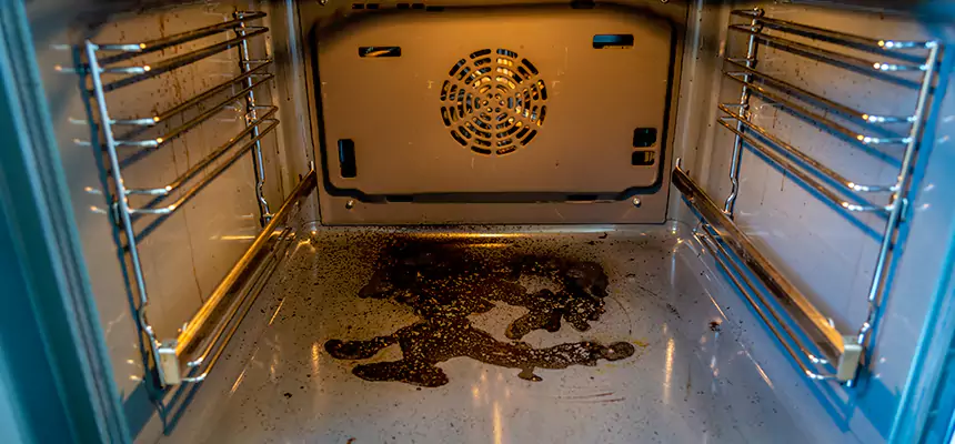 Our Dryer Vent Mold Cleaning Services in Susanville, CA