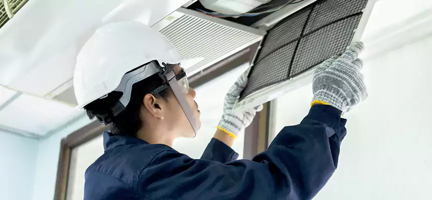 Our Mold & Mildew Removal from Air Ducts Services in Susanville, CA