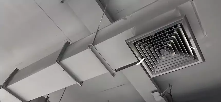 Our Rodent Droppings In Vents Services in Susanville, CA