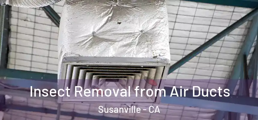  Insect Removal from Air Ducts Susanville - CA