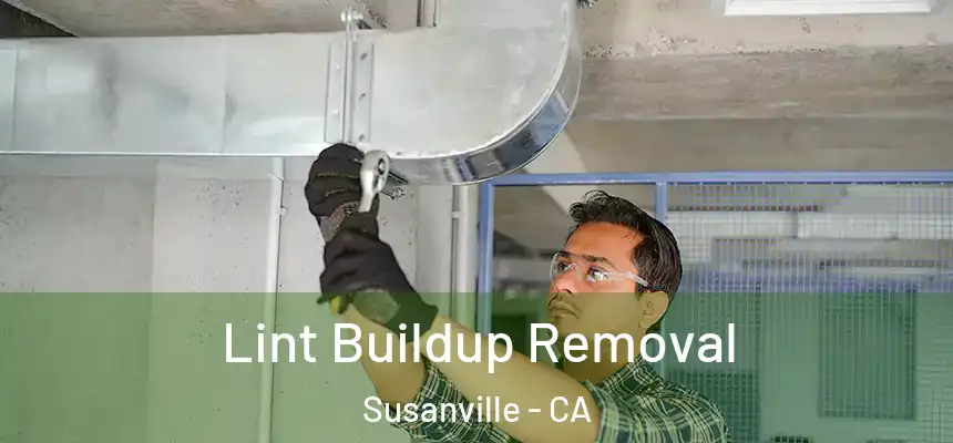  Lint Buildup Removal Susanville - CA