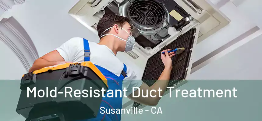 Mold-Resistant Duct Treatment Susanville - CA