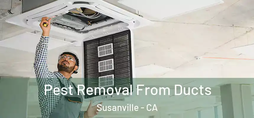  Pest Removal From Ducts Susanville - CA