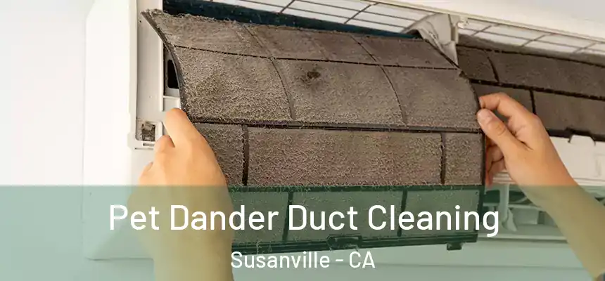  Pet Dander Duct Cleaning Susanville - CA