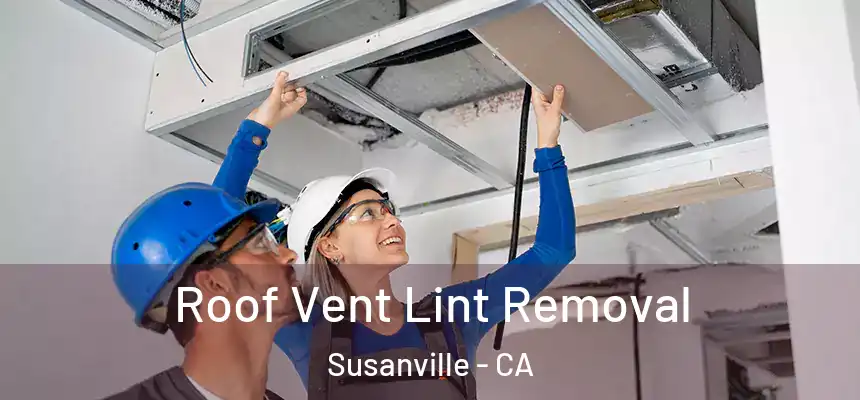  Roof Vent Lint Removal Susanville - CA