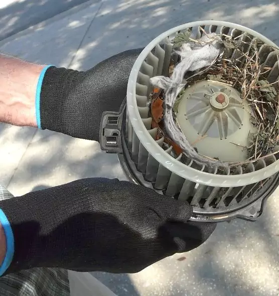 About Air Duct Mice Removal in Susanville, CA