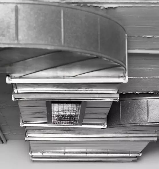 Professional Air Duct Pest Removal in Susanville, CA