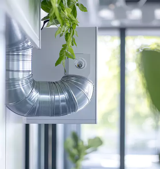 Professional Eco-Safe Dryer Vent Cleaning in Susanville, CA