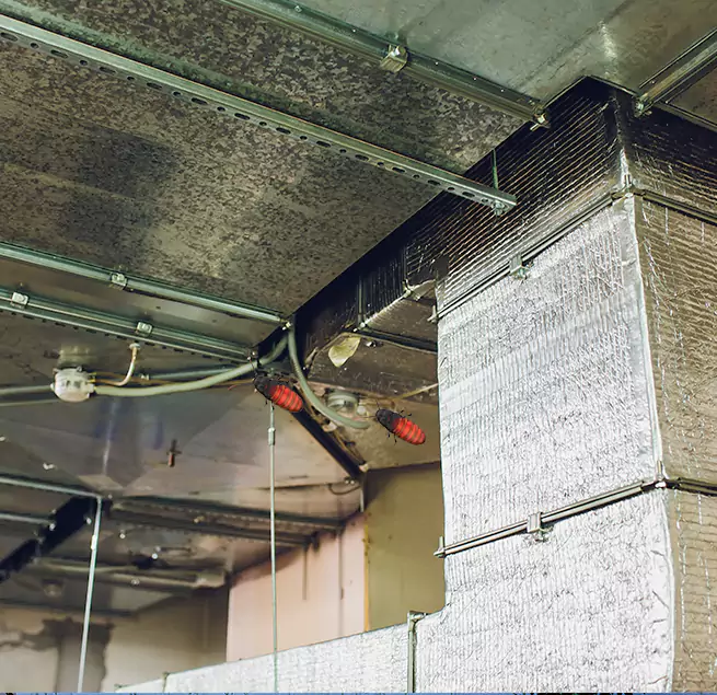 Why Homeowners & Businesses Trust Us in Susanville, CA?