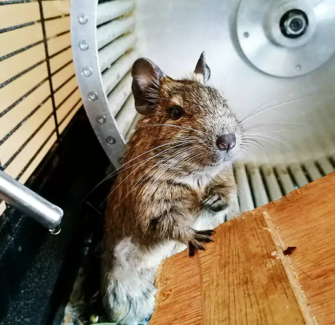 Why Homeowners & Businesses Trust Us Susanville, CA?